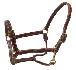 WAHLSTEN PREMIUM HALTER YANK MODEL WITH BUCKLE ON THE NOSE, BROWN